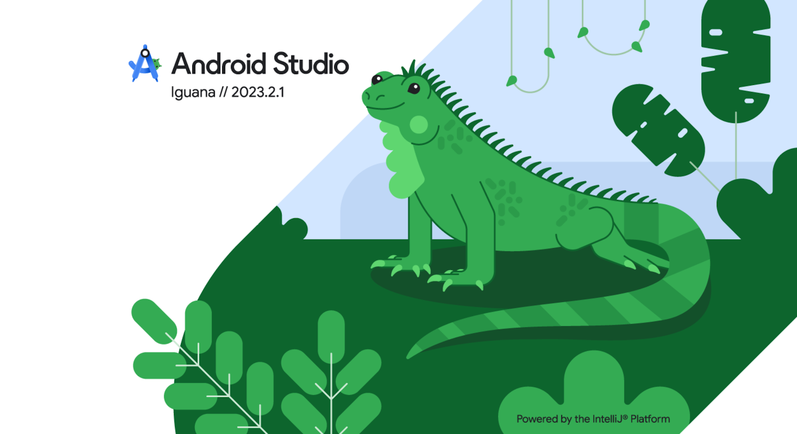 Android Studio Iguana